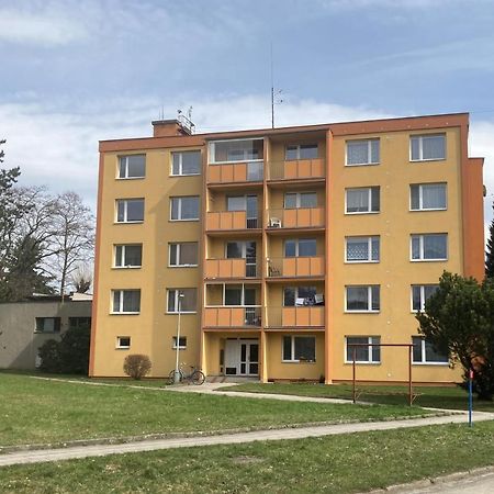 Apartmán ve Velkých Losinách Velké Losiny Exterior foto