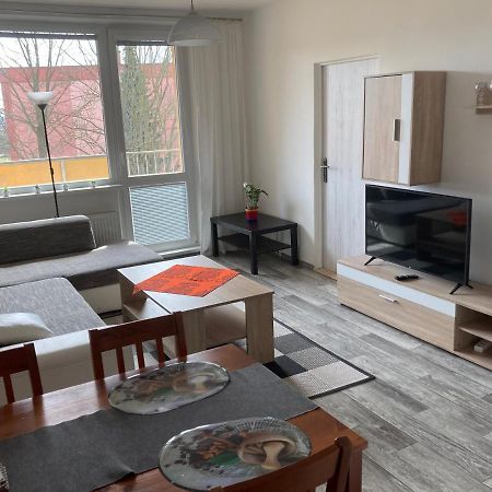Apartmán ve Velkých Losinách Velké Losiny Exterior foto